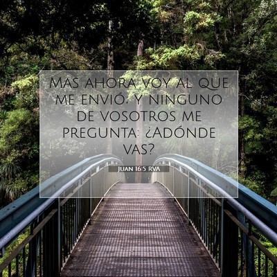 Picture 07 - Juan 16:5 RVA - Mas ahora voy al que me envió; y ninguno de - Bible Verse Picture