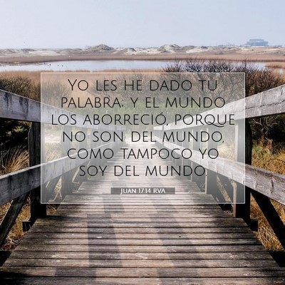 Picture 07 - Juan 17:14 RVA - Yo les he dado tu palabra; y el mundo los - Bible Verse Picture