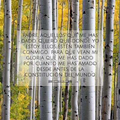 Picture 07 - Juan 17:24 RVA - Padre, aquellos que me has dado, quiero que donde - Bible Verse Picture