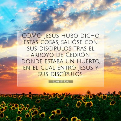 Picture 07 - Juan 18:1 RVA - COMO Jesús hubo dicho estas cosas, salióse con - Bible Verse Picture