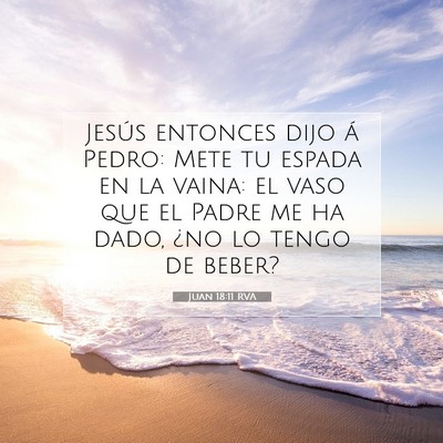 Picture 07 - Juan 18:11 RVA - Jesús entonces dijo á Pedro: Mete tu espada en - Bible Verse Picture
