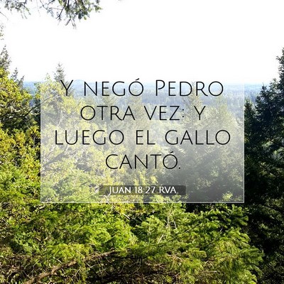 Picture 07 - Juan 18:27 RVA - Y negó Pedro otra vez: y luego el gallo - Bible Verse Picture