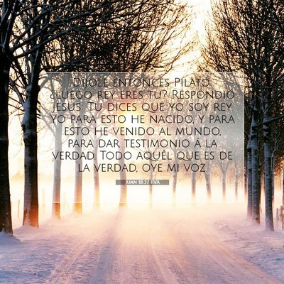 Picture 07 - Juan 18:37 RVA - Díjole entonces Pilato: ¿Luego rey eres tu? - Bible Verse Picture