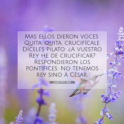 Picture 07 - Juan 19:15 RVA - Mas ellos dieron voces: Quita, quita, - Bible Verse Picture