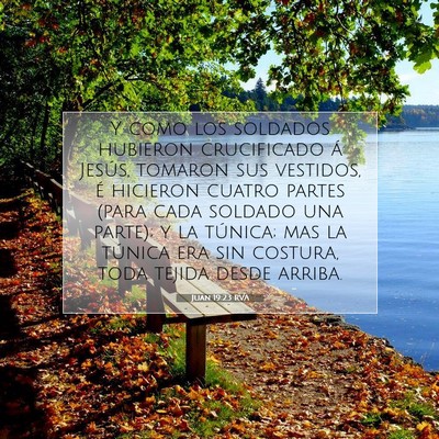 Picture 07 - Juan 19:23 RVA - Y como los soldados hubieron crucificado á - Bible Verse Picture