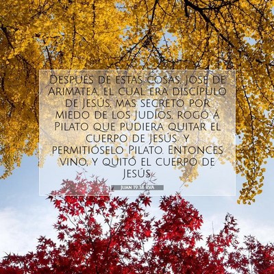Picture 07 - Juan 19:38 RVA - Después de estas cosas, José de Arimatea, el - Bible Verse Picture