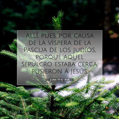 Picture 07 - Juan 19:42 RVA - Allí, pues, por causa de la víspera de la - Bible Verse Picture
