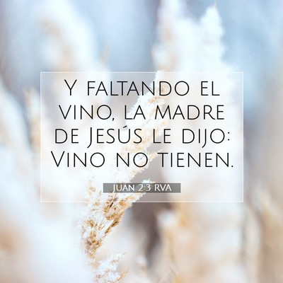 Picture 07 - Juan 2:3 RVA - Y faltando el vino, la madre de Jesús le dijo: - Bible Verse Picture