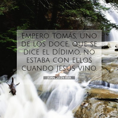 Picture 07 - Juan 20:24 RVA - Empero Tomás, uno de los doce, que se dice el - Bible Verse Picture