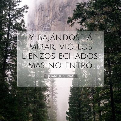 Picture 07 - Juan 20:5 RVA - Y bajándose á mirar, vió los lienzos echados; - Bible Verse Picture