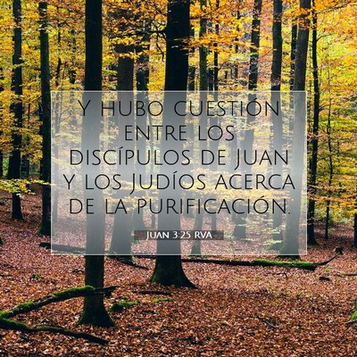 Picture 07 - Juan 3:25 RVA - Y hubo cuestión entre los discípulos de Juan y - Bible Verse Picture