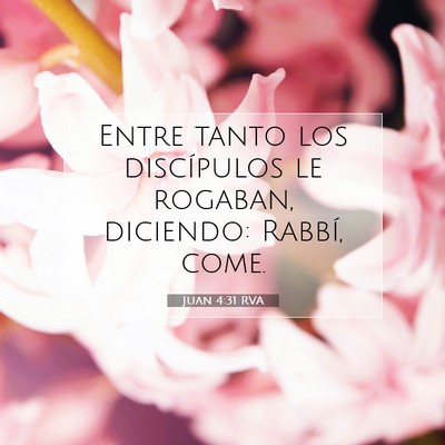 Picture 07 - Juan 4:31 RVA - Entre tanto los discípulos le rogaban, diciendo: - Bible Verse Picture