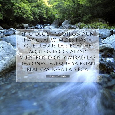 Picture 07 - Juan 4:35 RVA - ¿No decís vosotros: Aun hay cuatro meses hasta - Bible Verse Picture