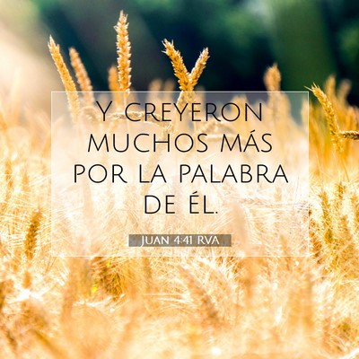 Picture 07 - Juan 4:41 RVA - Y creyeron muchos más por la palabra de - Bible Verse Picture