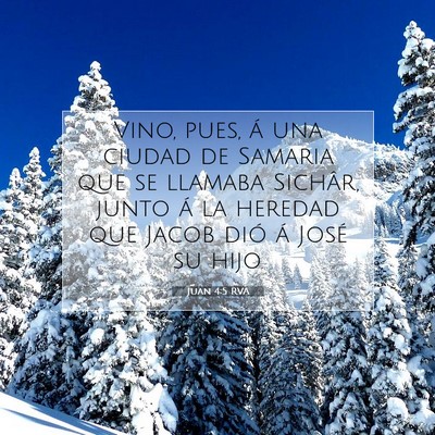 Picture 07 - Juan 4:5 RVA - Vino, pues, á una ciudad de Samaria que se - Bible Verse Picture