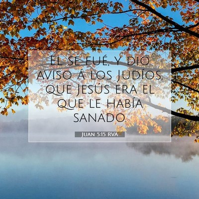 Picture 07 - Juan 5:15 RVA - El se fué, y dió aviso á los Judíos, que - Bible Verse Picture