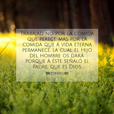Picture 07 - Juan 6:27 RVA - Trabajad no por la comida que perece, mas por la - Bible Verse Picture