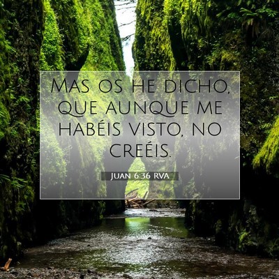 Picture 07 - Juan 6:36 RVA - Mas os he dicho, que aunque me habéis visto, no - Bible Verse Picture