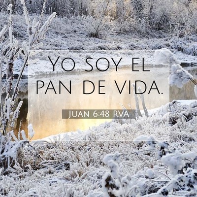 Picture 07 - Juan 6:48 RVA - Yo soy el pan de - Bible Verse Picture