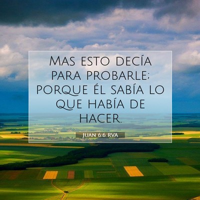 Picture 07 - Juan 6:6 RVA - Mas esto decía para probarle; porque él sabía - Bible Verse Picture