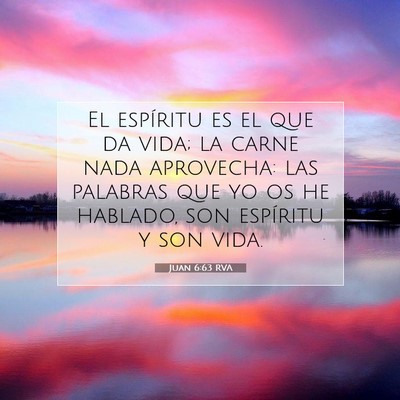Picture 07 - Juan 6:63 RVA - El espíritu es el que da vida; la carne nada - Bible Verse Picture