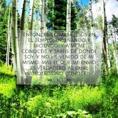 Picture 07 - Juan 7:28 RVA - Entonces clamaba Jesús en el templo, enseñando - Bible Verse Picture