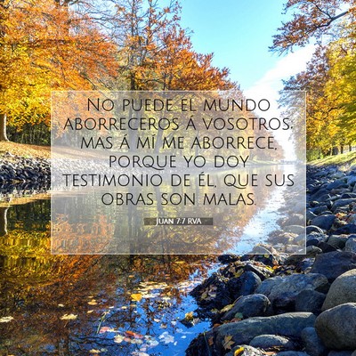 Picture 07 - Juan 7:7 RVA - No puede el mundo aborreceros á vosotros; mas á - Bible Verse Picture