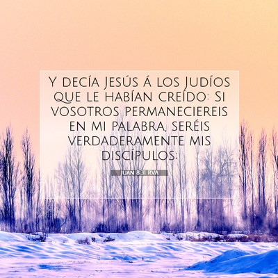 Picture 07 - Juan 8:31 RVA - Y decía Jesús á los Judíos que le habían - Bible Verse Picture