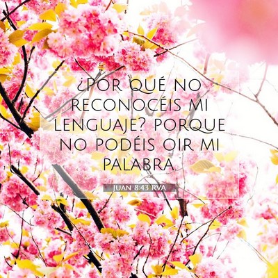 Picture 07 - Juan 8:43 RVA - ¿Por qué no reconocéis mi lenguaje? porque no - Bible Verse Picture