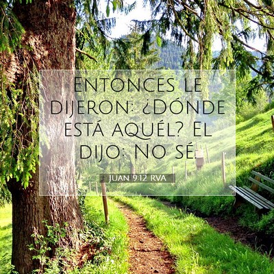 Picture 07 - Juan 9:12 RVA - Entonces le dijeron: ¿Dónde está aquél? El - Bible Verse Picture