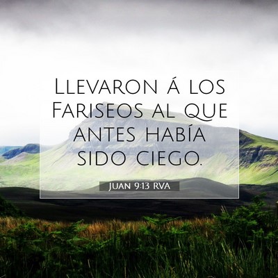 Picture 07 - Juan 9:13 RVA - Llevaron á los Fariseos al que antes había sido - Bible Verse Picture