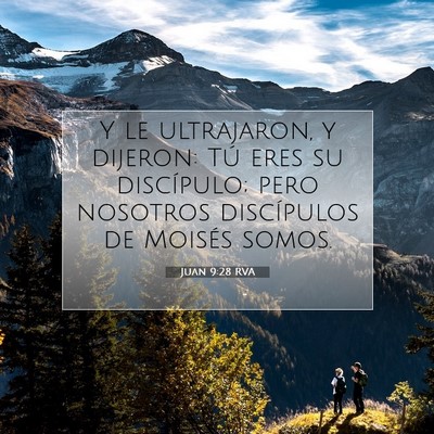Picture 07 - Juan 9:28 RVA - Y le ultrajaron, y dijeron: Tú eres su - Bible Verse Picture