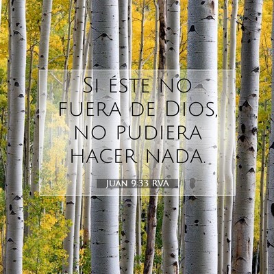Picture 07 - Juan 9:33 RVA - Si éste no fuera de Dios, no pudiera hacer - Bible Verse Picture