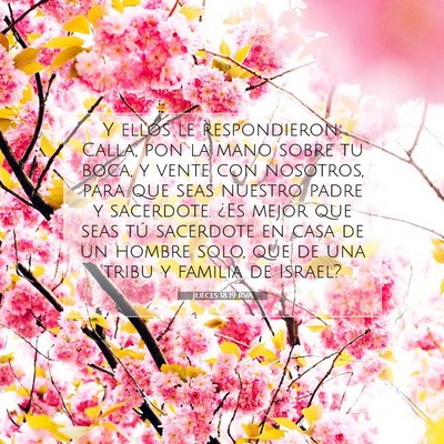 Picture 07 - Jueces 18:19 RVA - Y ellos le respondieron: Calla, pon la mano sobre - Bible Verse Picture