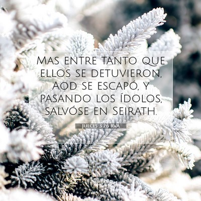 Picture 07 - Jueces 3:26 RVA - Mas entre tanto que ellos se detuvieron, Aod se - Bible Verse Picture