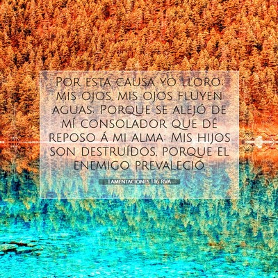 Picture 07 - Lamentaciones 1:16 RVA - Por esta causa yo lloro; mis ojos, mis ojos - Bible Verse Picture