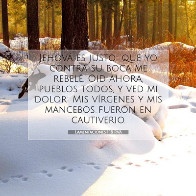 Picture 07 - Lamentaciones 1:18 RVA - Jehová es justo; que yo contra su boca me - Bible Verse Picture