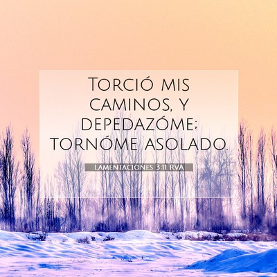 Picture 07 - Lamentaciones 3:11 RVA - Torció mis caminos, y depedazóme; tornóme - Bible Verse Picture
