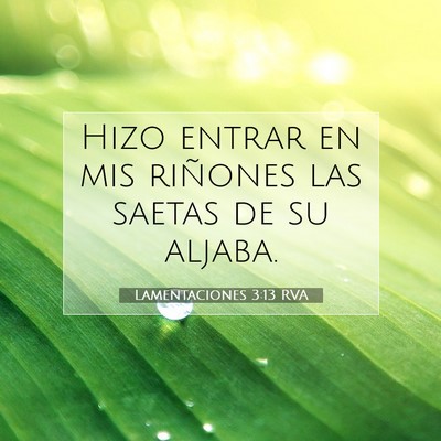 Picture 07 - Lamentaciones 3:13 RVA - Hizo entrar en mis riñones las saetas de su - Bible Verse Picture