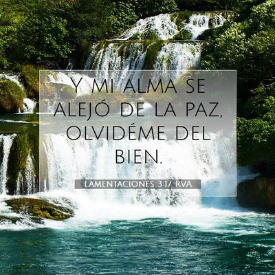 Picture 07 - Lamentaciones 3:17 RVA - Y mi alma se alejó de la paz, olvidéme del - Bible Verse Picture