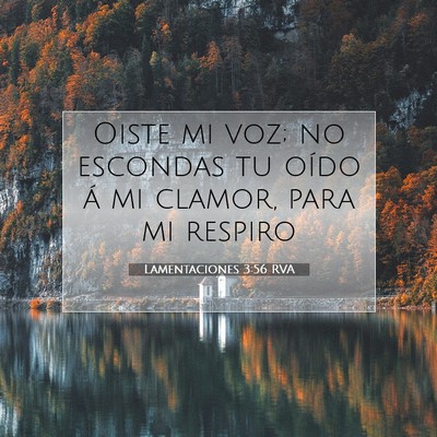 Picture 07 - Lamentaciones 3:56 RVA - Oiste mi voz; no escondas tu oído á mi clamor, - Bible Verse Picture