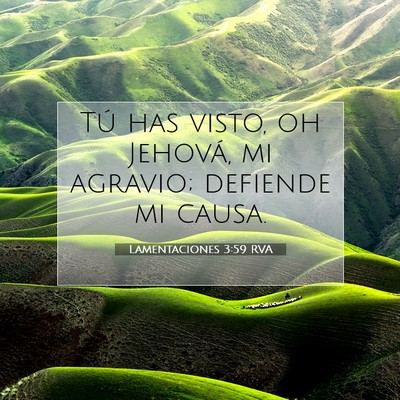 Picture 07 - Lamentaciones 3:59 RVA - Tú has visto, oh Jehová, mi agravio; defiende - Bible Verse Picture