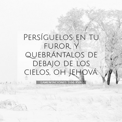 Picture 07 - Lamentaciones 3:66 RVA - Persíguelos en tu furor, y quebrántalos de - Bible Verse Picture