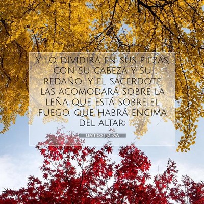 Picture 07 - Levítico 1:12 RVA - Y lo dividirá en sus piezas, con su cabeza y su - Bible Verse Picture