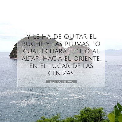 Picture 07 - Levítico 1:16 RVA - Y le ha de quitar el buche y las plumas, lo cual - Bible Verse Picture