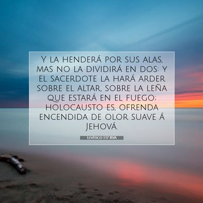 Picture 07 - Levítico 1:17 RVA - Y la henderá por sus alas, mas no la dividirá - Bible Verse Picture