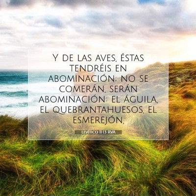 Picture 07 - Levítico 11:13 RVA - Y de las aves, éstas tendréis en abominación; - Bible Verse Picture
