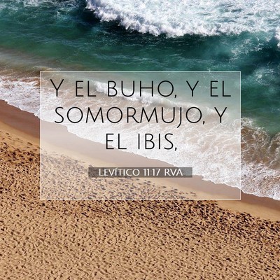 Picture 07 - Levítico 11:17 RVA - Y el buho, y el somormujo, y el - Bible Verse Picture