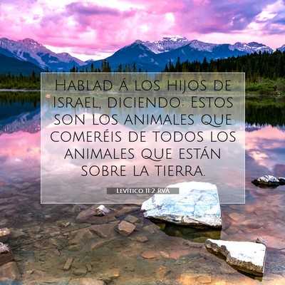Picture 07 - Levítico 11:2 RVA - Hablad á los hijos de Israel, diciendo: Estos - Bible Verse Picture