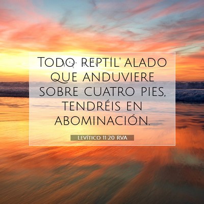 Picture 07 - Levítico 11:20 RVA - Todo reptil alado que anduviere sobre cuatro - Bible Verse Picture